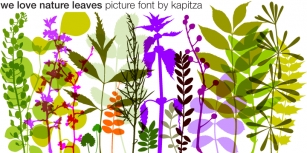 We Love Nature Leaves Font Download