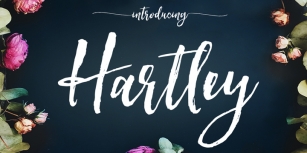 Hartley Font Download
