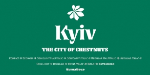 Kyiv Font Download