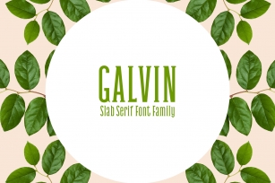 Galvin Family Pack Font Download