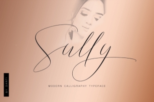 Sully Font Download