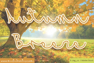 Autumn Breeze Font Download