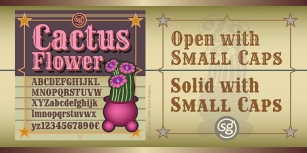Cactus Flower SG Font Download