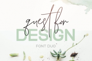 Quest for Design Family Font Download