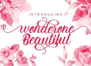 Wonderone Beautiful Font Download