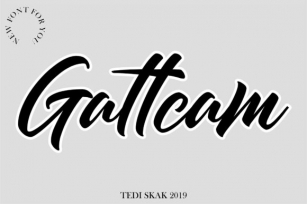 Gattcam Font Download