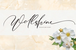 Wollshine Font Download