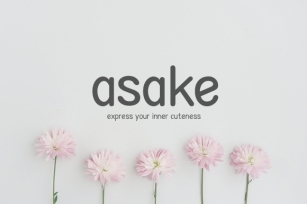 Asake Font Download
