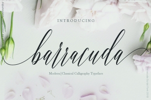 Barracuda script Font Download