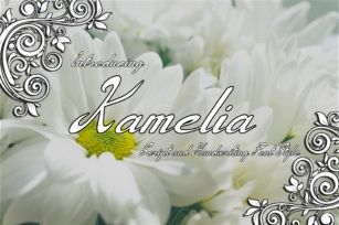 Kamelia Font Download