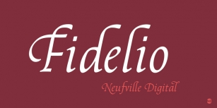 Fidelio ND Font Download