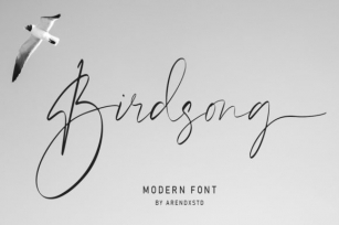 Birdsong Font Download