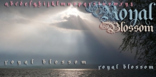 Royal Blossom Font Download