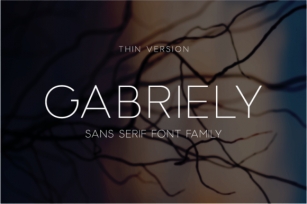 Gabriely Thin Font Download