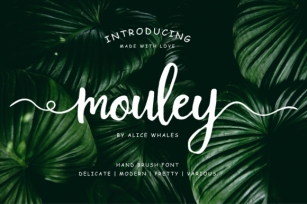 Mouley Font Download