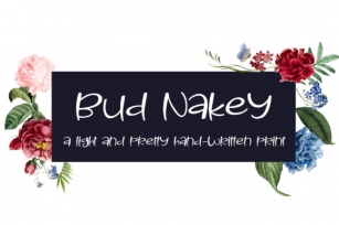 Bud Nakey Font Download