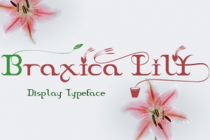 Braxica Lily Font Download