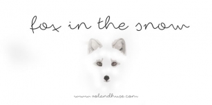 Fox In The Snow Font Download