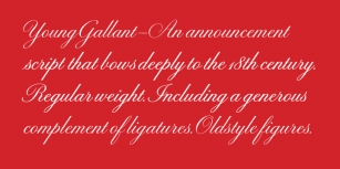 Young Gallant Font Download