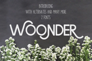 Wonder [2 Fonts] Font Download