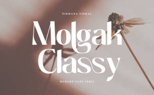 Molgak Classy Font Download