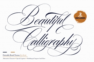 Desirable Brush Texture Duo Font Download