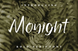 Monight Font Font Download