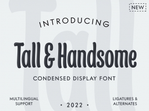 Tall  Handsome Font Download