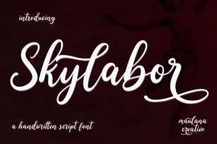 Skylabor Script Font Font Download