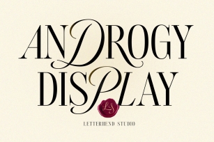 Androgy Display Font Download