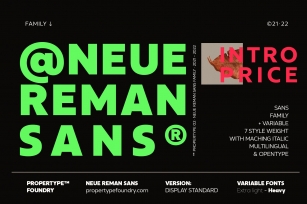 Neue Reman Sans Family Font Download