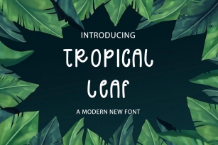 Tropical Leaf Font Download