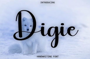 Digie Font Download