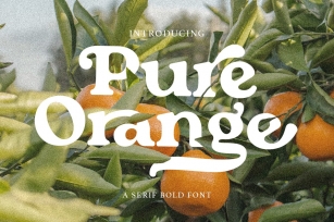 Pure Orange Font Download
