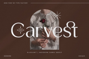 Carvest - Elegant & Modern Sans Serif Font Download