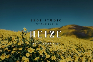Heize - Typeface Font Download