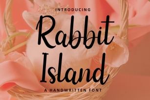 Rabbit Island Font Download