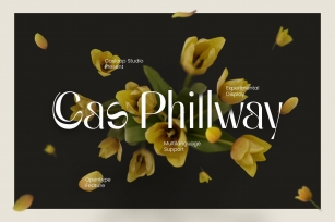 Cas Phillway Display Typeface Font Download