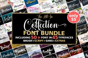 All In Collection Font Bundle Font Download
