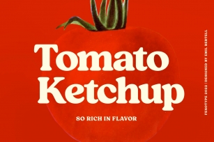 Tomato Ketchup Retro Serif Font Download
