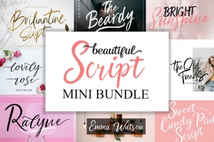 Beautiful Script s Mini Bundle Font Download