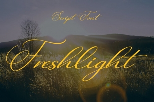 Freshlight Font Font Download