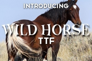 Wild Horse Font Download