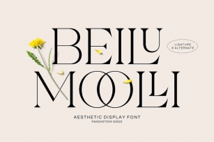 Beilu Mooli - Modern Retro Fonts Font Download