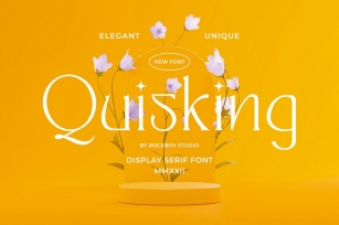 Quisking - Display Serif Font Font Download