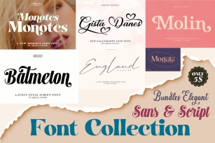 Elegant Sans & Script Collection Font Download