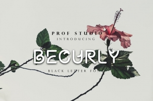 Becurly - Typeface Font Download
