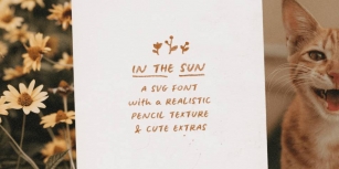 In The Sun Font Download