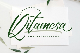 Qitamesa | Modern Script Font Font Download