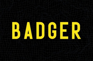 Badger - Dynamic Sans Serif Typeface Font Download